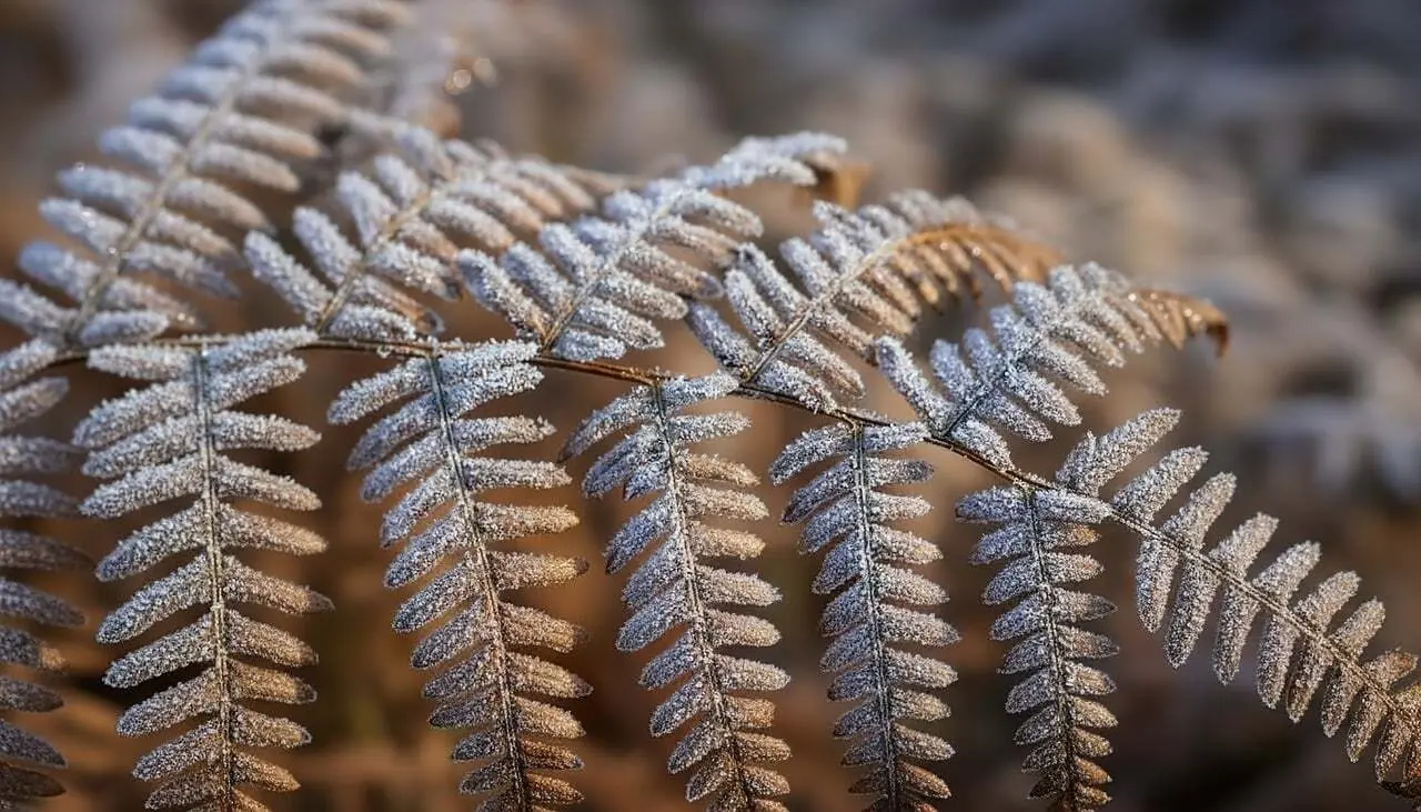 Mal som en pro: skarpe kanter og holdbar finish inde og ude
